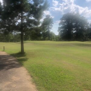 The Meadows Golf Course at Harpersville in Alabaster