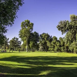 Wilson & Harding Golf Courses in Los Angeles