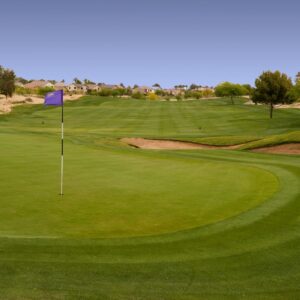 The Legacy Golf Club in Phoenix