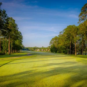 Eagle Harbor Golf Club in Jacksonville