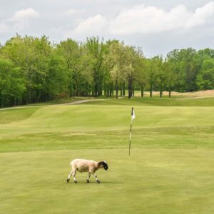 Hermitage Golf Course in Nashville