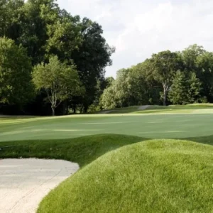 Hyde Park Golf Course in Buffalo