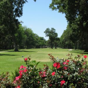 Grand Ridge Golf Club in New Orleans