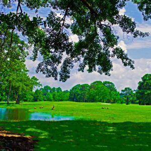 Heron Lakes Country Club in Mobile