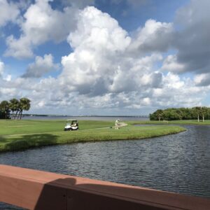 Cove Cay Golf Club in Clearwater