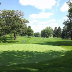 Wing Park Golf Course in Elgin