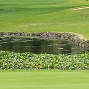 Auburn Golf Course in Federal Way