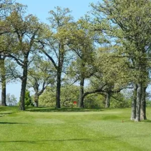 Oak Springs Golf Course in Kankakee