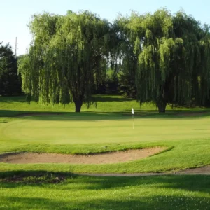 Hickory Hills Country Club in Orland Park