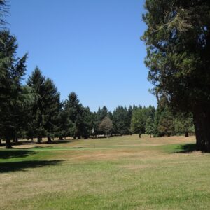 The Golf Club Of Oregon in Albany