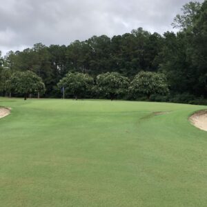 Wedgewood Golf Course in Wilson