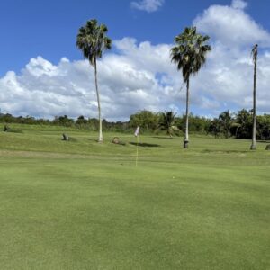 Villas De Caguas Real Golf & Contry Club in Trujillo Alto
