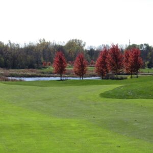 Makray Memorial Golf Club in Hanover Park