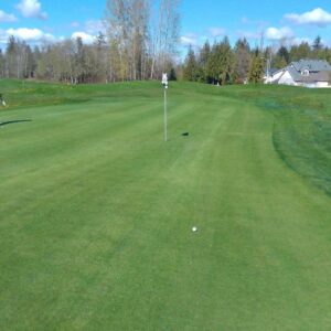 Gleneagle Golf Course in Lake Stickney