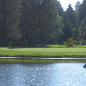 Useless Bay Golf & Country Club in Lake Stickney
