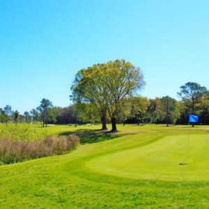 Scotland Yards Golf Club in Seffner