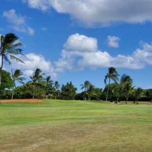 Ted Makalena Golf Course in Honolulu