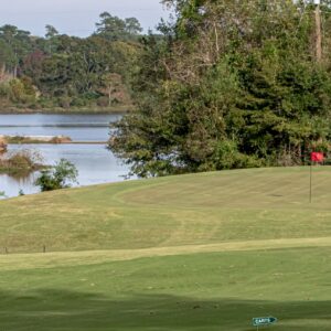 Azalea City Golf Course in Mobile