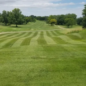 Deer Lake Golf Course in Springfield