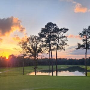 Pines Golf Course in Montgomery