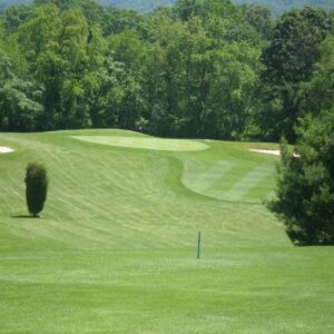 Ole Monterey Golf Club in Roanoke
