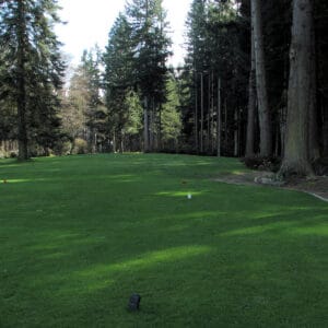 Hat Island Golf Club in Everett