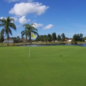 Apollo Beach Golf Club in Riverview