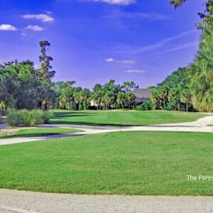 The Forest Country Club Golf in Fort Myers