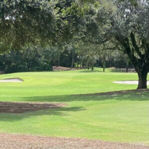 De La Vista Executive Golf Course in The Villages