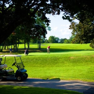 Pine Trace Golf Club in Rochester Hills