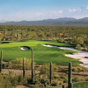 The Golf Club at Dove Mountain in Casas Adobes