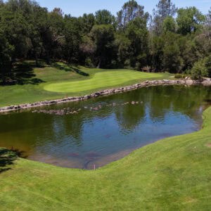 Turkey Creek Golf Course in Gary