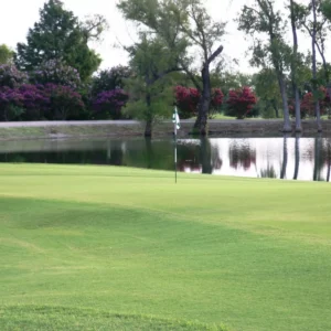 Willow Creek Golf Club - TX in Spring