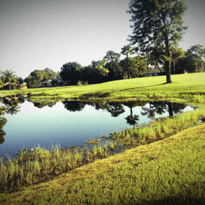 Island Pines Golf Club in Fort Pierce