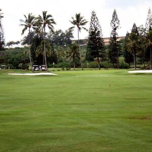 Leilehua Golf Course in Pearl City