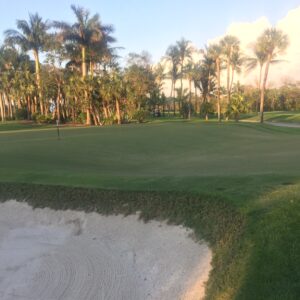 Everglades Golf Course in The Acreage