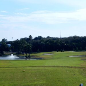 Tarpon Springs Golf Course in West Lealman
