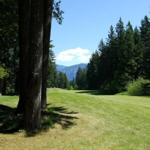 Skamania Lodge Golf Course in Mount Vista