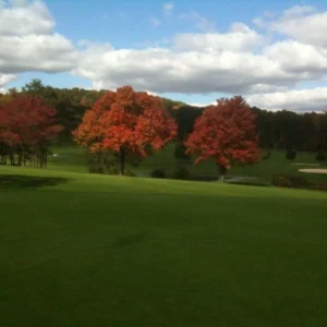 LakeVue North Golf Course in Glenshaw
