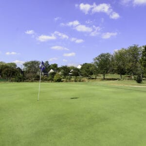 Pinecrest Golf Course in Alexandria