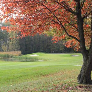 Maple Leaf Golf Course in Bay City