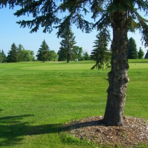 Shamrock Golf Course in Robbinsdale
